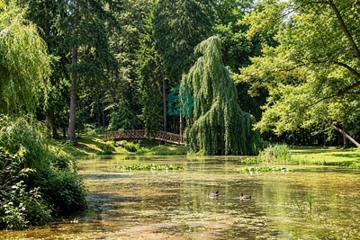 hluboká_zámecký_park.jpg