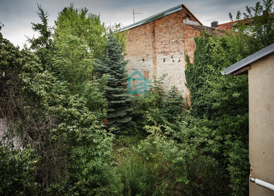 7-00009 IMG_8529.jpg